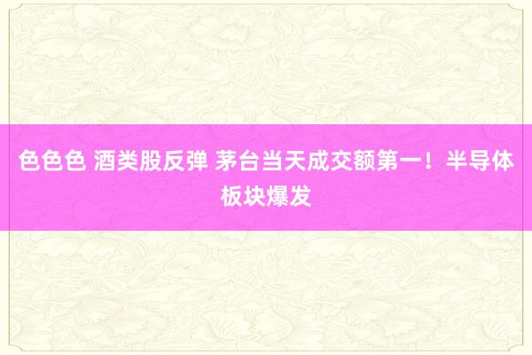 色色色 酒类股反弹 茅台当天成交额第一！半导体板块爆发