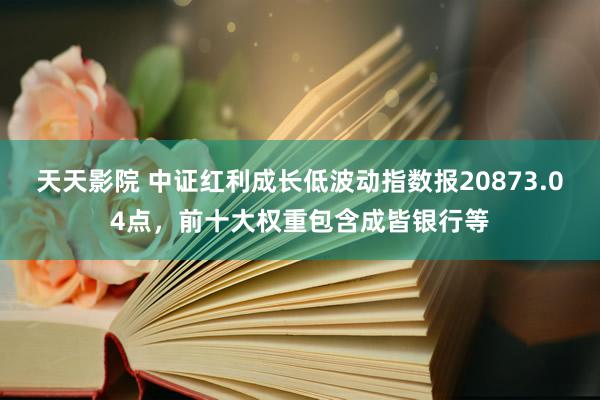 天天影院 中证红利成长低波动指数报20873.04点，前十大权重包含成皆银行等